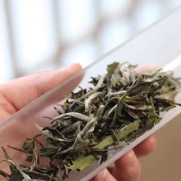绿雪芽白牡丹福鼎白茶-绿雪芽白牡丹福鼎白茶促销价格、绿雪芽白牡丹福