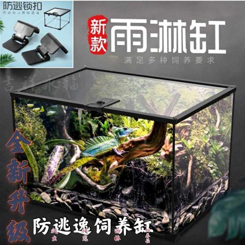 为什么说Amphibious tank白玻璃缸是雨林植物景观的神器?-api-淘宝好物网