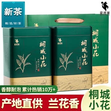 霍将军正宗桐城小花2024雨前一级明前特级龙眠山春茶手工500克罐