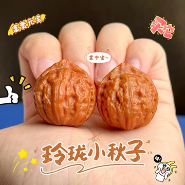 文玩核桃 原树吸血鬼官帽 32mm 東京文玩育成】文玩核桃 原樹吸血鬼官帽 32x31x43mm 文玩核桃