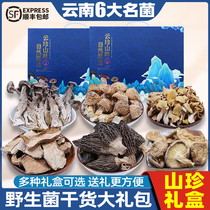 Yunnan Wild Fungus Great Gift Package of Mushroom Bag Goat Bellied Fungus Dry Cargo Gift Box In Autumn Mountain Treasures for New Years Gift Giving Gifts