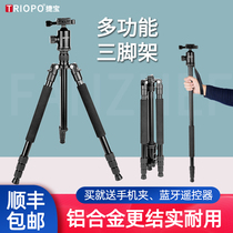Teppel T268 tripod single counter camera phone self-shooting outdoor portable light applicable Canon Sony Zoom Alone Footed photo gourmet photo tripod tripod head micro-single overshoot bracket