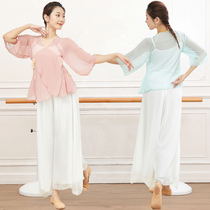 Classical Dance Costumes female Xia and Autumn Elegant Veil Chinese Dance Folk Dance in Costume Body Dance Rehearsal