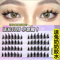 Ultra-dense small Devil Sectional Eyelash Fake Eyelash Natura Simulation New Hand Comic Fairy Hair A has been cut open