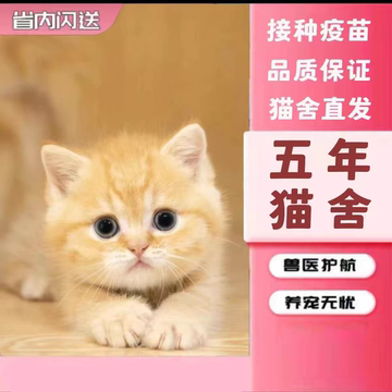 花猫 35.4'' 三层花猫树- 猫床& 猫塔- ZezeLife