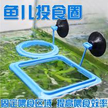 Fish tank Feeding the fish Divine Instrumental Ornamental Shrimp Feeder Food Shrimp Grain Feeding Tool Tube Goldfish Small Fish Pitcher Fish Eaters