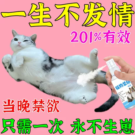 猫咪发情抑制药母猫宠物公母猫咪狗绝育禁情粉避孕药液发禁情专用