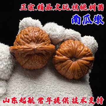 ❤️新入荷❤️No.685-a❤️文玩くるみ（文玩核桃） 精配南瓜 文玩核桃南瓜墩-文玩核桃南瓜墩促销价格、文玩核桃南瓜墩品牌- 淘宝