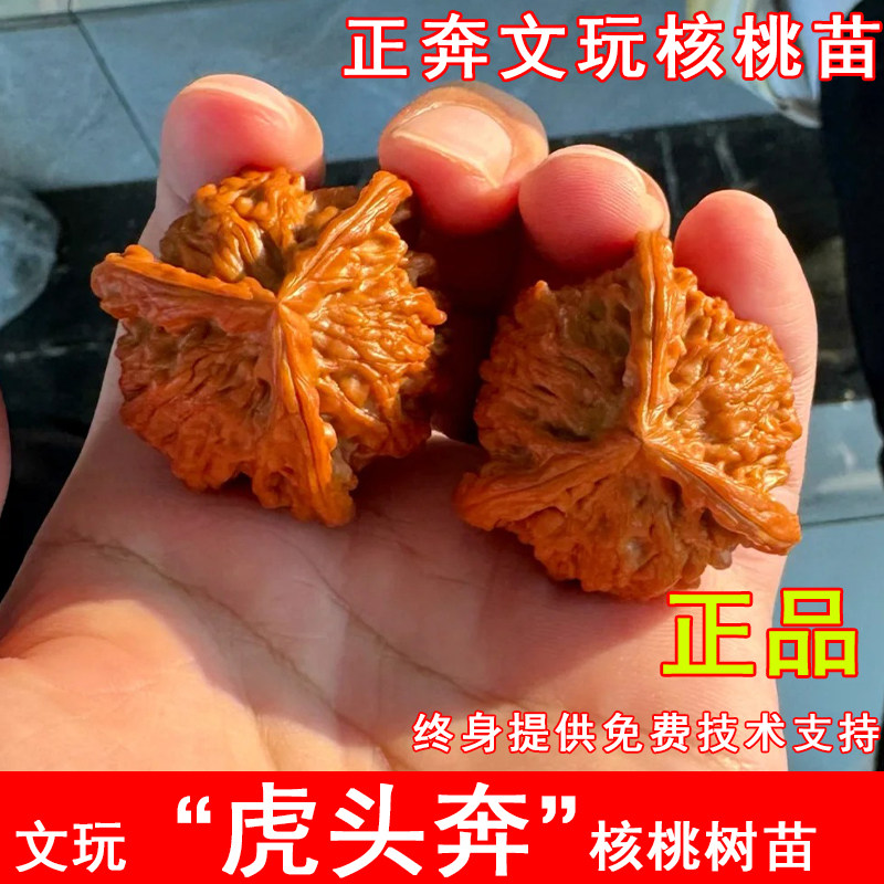 三棱正奔文玩核桃-三棱正奔文玩核桃促销价格、三棱正奔文玩核桃品牌- 淘宝