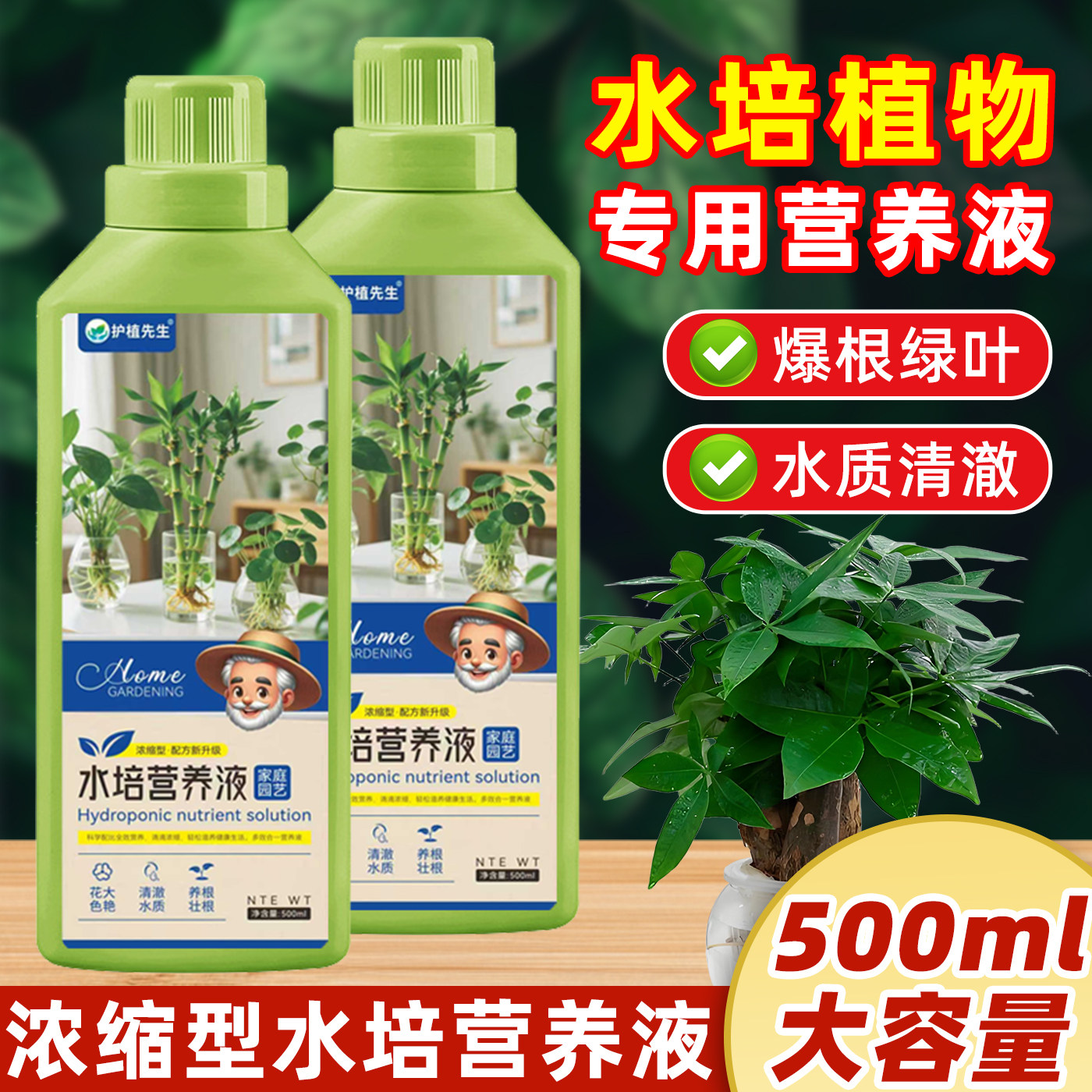 铜钱草水培营养液-铜钱草水培营养液促销价格、铜钱草水培营养液品牌- 淘宝