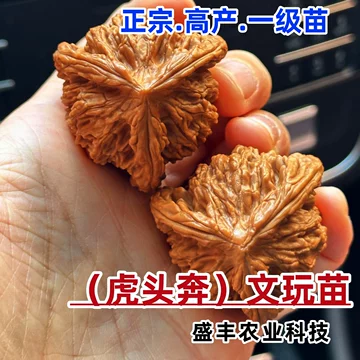 三棱正奔文玩核桃-三棱正奔文玩核桃促销价格、三棱正奔文玩核桃品牌- 淘宝