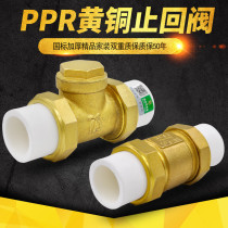 PPR check valve brass horizontal vertical check valve check valve check valve 20 4 points PPR water pipe pipe fittings
