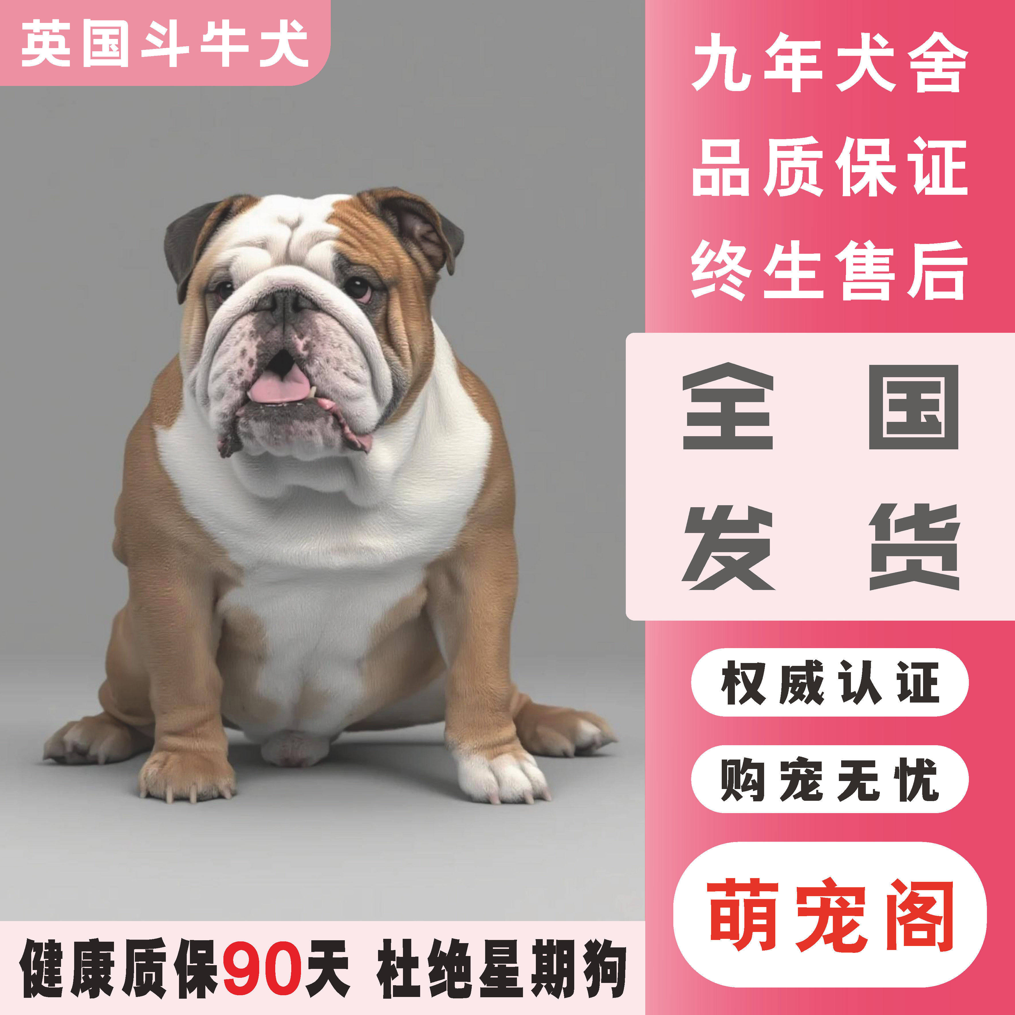 英國鬥牛犬(@viktoriiafedoseeva584vzx) • Instagram photos and videos, image size:3544x3544