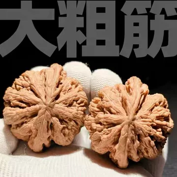 大粗筋野生核桃-大粗筋野生核桃促销价格、大粗筋野生核桃品牌- 淘宝
