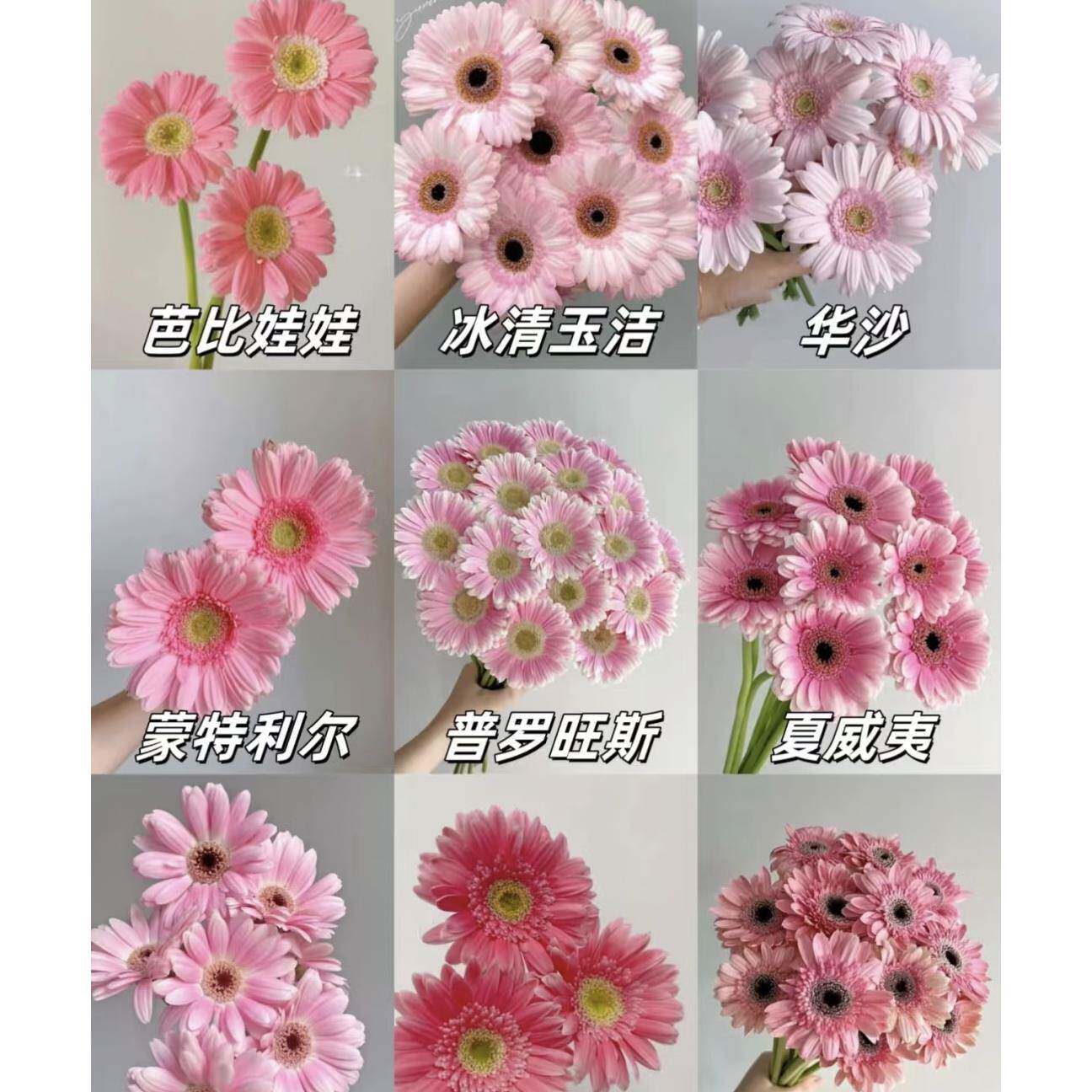 高瓶插花非洲菊-高瓶插花非洲菊促销价格、高瓶插花非洲菊品牌- 淘宝