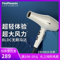 Ultra light wind speed dry fire phoenix hair dryer 6200H hair salon special high power hair dryer home