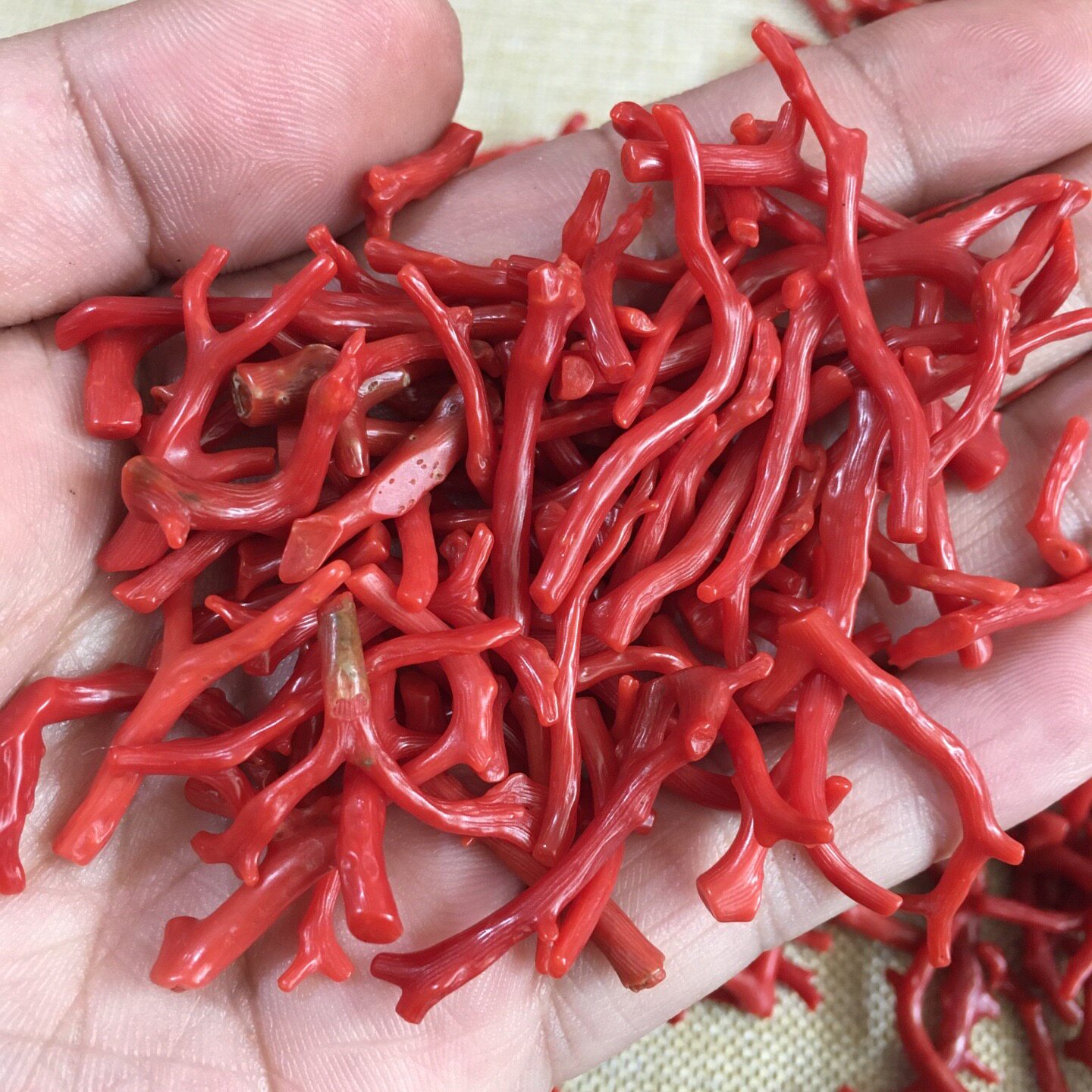 阿卡珊瑚-阿卡珊瑚促销价格、阿卡珊瑚品牌- 淘宝