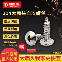 M3M4M5M6 304 stainless steel flat head self-tapping screw Phillips wood screw pointed nail umbrella head screw
