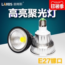 Super bright cob par light E27 screw LED bulb par30 track light lighting concentrated LED light cup spotlight light source