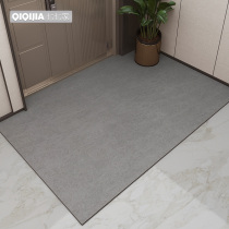 Entrance Doormat Doormat Doormat home Entrance Foot mat Damp Doormat anti-slip rug starter cushion