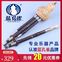 Zizhu gourd silk double tone professional performance C down B tune G F tune Blue Peacock musical instrument monopoly