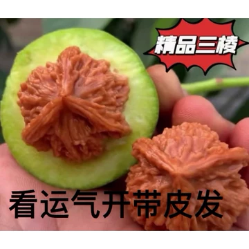 核桃文玩三棱-核桃文玩三棱促销价格、核桃文玩三棱品牌- 淘宝