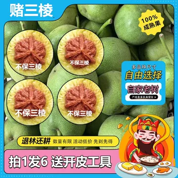 血麒麟核桃-血麒麟核桃促销价格、血麒麟核桃品牌- 淘宝