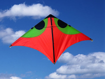 Shenyang tailor Liu boutique plankton single-line sports kite