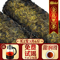 Alpine black tea Hunan Anhua black tea hand building gold flower Fu brick tea authentic wild special grade tea 1000g