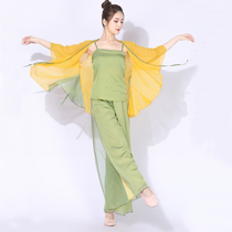 Classical dance body rhyme gauze clothes female costumes dance antique Chinese dance suits tops costumes Fairy Summer