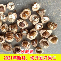 New goods wind fruit selection fruit Tianzhu grain Guangxi special fruit thick scale Ke 500g Wine Wine strong home Yin Yang fruit