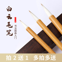 Baiyun brush set big Baiyun small set of beginners large medium and small sheep and pure wolf brush adult brush special student traditional Chinese painting meticulous painting painting color set professional calligraphy brush