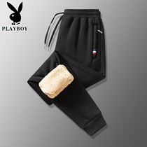 Flower Playboy plus suede thickened cotton pants male winter lamb suede pants middle-aged loose casual pants long pants with increased size