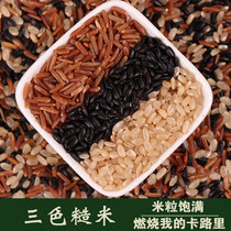 Three-color brown rice 1500g whole grains brown rice black rice red rice red brown rice coarse grain fitness germ Rice