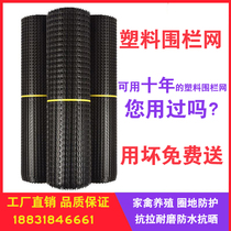 Plastic mesh Breeding net Protective isolation safety fence net Chicken fence net Fecal leakage mat grid Geogrid