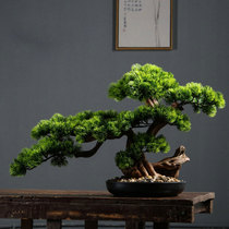 Simulation welcome pine bonsai green plant decoration new Chinese shop porch decoration cliff cypress beauty pine fake tree landscape