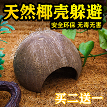 Natural coconut shell Dodging Palace lizard Spider snake scorpion Hamster centipede dodging hole Reptile box Coconut shell cave