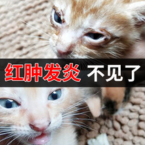  Cat tears eye drops to remove tears cat eyes are inflamed eye wash dog eye drops Yino eye drops