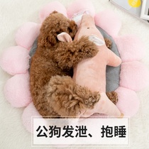 Dog toys venting sex toys male dogs fighting Teddy Plush with pigs resistant to bite teeth vocal pet supplies