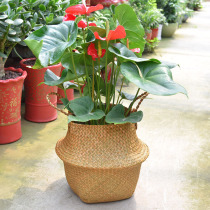 Nordic Straw flower pot rattan flower pot basket woven bamboo basket living room floor flower basket bag bamboo flower pot
