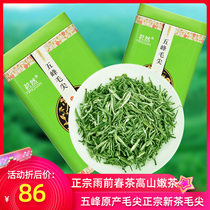 2021 new tea Wufeng original Maojian authentic spring tea Alpine tender tea fried green tea 500g