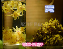 Dendrobium flower dried flower iron skin Dendrobium flower tea soup tea good sleep 10 grams