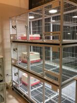 Jinao cages Cat cages Household dog cages Pigeon cages Rabbit cages Partition breeding cages for small dogs One two three layers