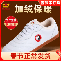 Shanren sports tai chi shoes cow tendon bottom leather female soft leather martial arts training shoes spring and autumn sports male tai chi shoes