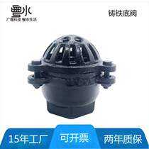 Suction pump bottom valve internal thread wire buckle suction valve cast iron check valve DN25 40 50 65 80100