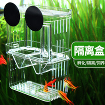 Guppies breeding box fish tank isolation box cylinder spawning small fry acrylic floating incubator spawning house female fish