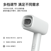 Fengjie hair dryer Hotel Hotel dedicated hair dryer hot and cold accommodation apartment for mini portable Blower