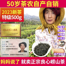 崂山绿茶2023新茶茶叶浓香型500g特级散装春茶豆香礼盒装青岛特产
