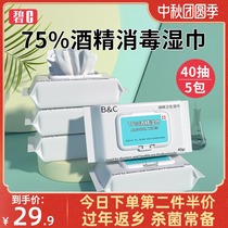 Bi c 75% Alcohol Disinfection Wipes Disposable Baby Tableware Toys Sterilization and Disinfection Portable 200 Tablets