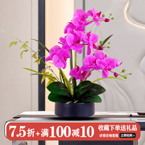 High-grade Phalaenopsis simulation flower potted living room TV cabinet fake flower decoration ornaments Chinese high-end furnishings